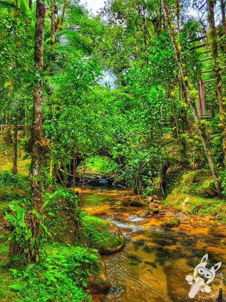 Remanso Ribeirão da Serra | Parque Estadual Carlos Botelho (PECB) Núcleo Sete Barras | Sete Barras - São Paulo - Brasil | FredLee Na Estrada Remanso Ribeirão da Serra | Parque Estadual Carlos Botelho (PECB) Núcleo Sete Barras | Sete Barras - São Paulo - Brasil | FredLee Na Estrada