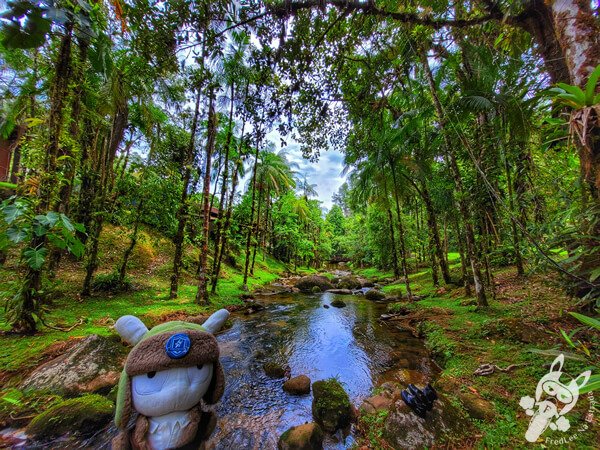 Remanso Ribeirão da Serra | Parque Estadual Carlos Botelho (PECB) Núcleo Sete Barras | Sete Barras - São Paulo - Brasil | FredLee Na Estrada Remanso Ribeirão da Serra | Parque Estadual Carlos Botelho (PECB) Núcleo Sete Barras | Sete Barras - São Paulo - Brasil | FredLee Na Estrada