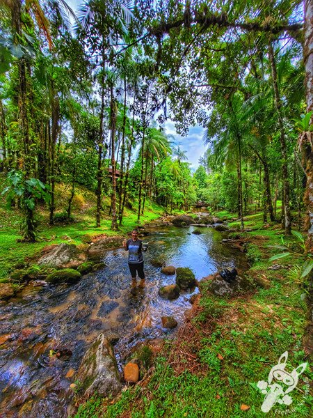 Remanso Ribeirão da Serra | Parque Estadual Carlos Botelho (PECB) Núcleo Sete Barras | Sete Barras - São Paulo - Brasil | FredLee Na Estrada Remanso Ribeirão da Serra | Parque Estadual Carlos Botelho (PECB) Núcleo Sete Barras | Sete Barras - São Paulo - Brasil | FredLee Na Estrada