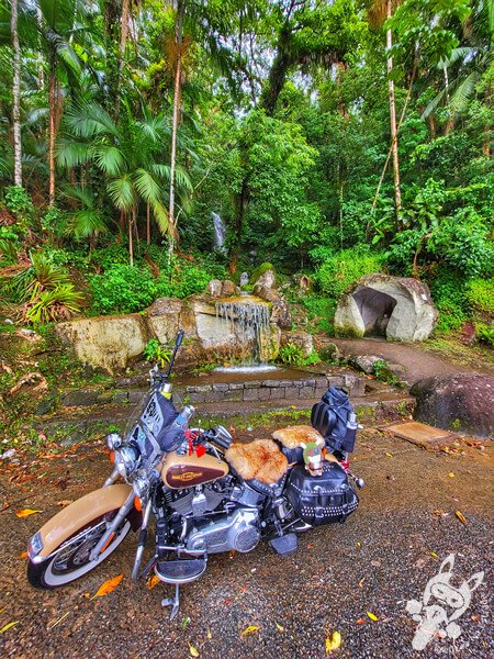 Harley-Davidson ao lado de uma cachoeira na Serra da Cabeça da Anta (SP-079) | Tapiraí - São Paulo - Brasil | FredLee Na Estrada Harley-Davidson ao lado de uma cachoeira na Serra da Cabeça da Anta (SP-079) | Tapiraí - São Paulo - Brasil | FredLee Na Estrada