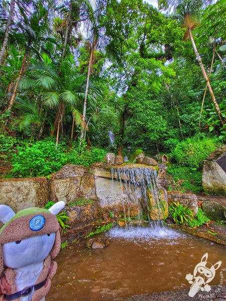 Cachoeira na Serra da Cabeça da Anta (SP-079) | Tapiraí - São Paulo - Brasil | FredLee Na Estrada Cachoeira na Serra da Cabeça da Anta (SP-079) | Tapiraí - São Paulo - Brasil | FredLee Na Estrada