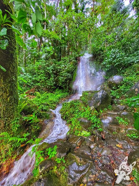 Cachoeira na Serra da Cabeça da Anta (SP-079) | Tapiraí - São Paulo - Brasil | FredLee Na Estrada Cachoeira na Serra da Cabeça da Anta (SP-079) | Tapiraí - São Paulo - Brasil | FredLee Na Estrada