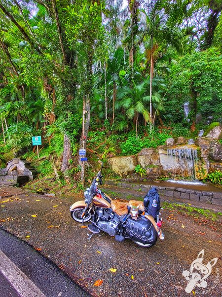 Harley-Davidson ao lado da icônica Fonte Cabeça da Anta na Serra da Cabeça da Anta (SP-079) | Tapiraí - São Paulo - Brasil | FredLee Na Estrada Harley-Davidson ao lado da icônica Fonte Cabeça da Anta na Serra da Cabeça da Anta (SP-079) | Tapiraí - São Paulo - Brasil | FredLee Na Estrada
