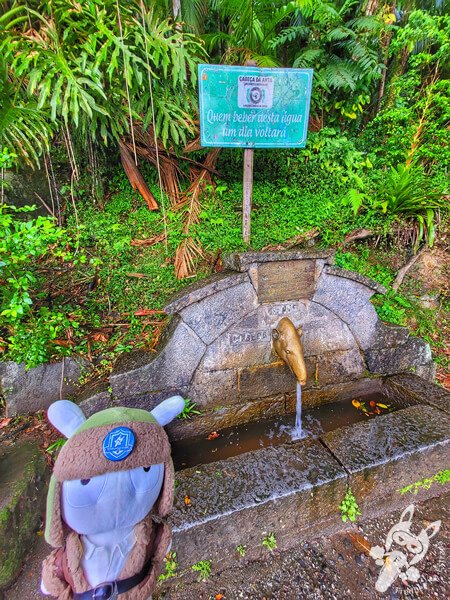 Fonte Cabeça da Anta na Serra da Cabeça da Anta (SP-079) | Tapiraí - São Paulo - Brasil | FredLee Na Estrada Fonte Cabeça da Anta na Serra da Cabeça da Anta (SP-079) | Tapiraí - São Paulo - Brasil | FredLee Na Estrada