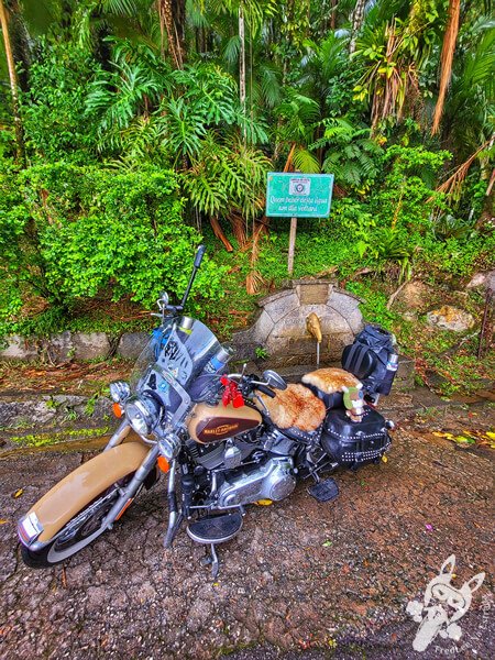 Harley-Davidson ao lado da icônica Fonte Cabeça da Anta na Serra da Cabeça da Anta (SP-079) | Tapiraí - São Paulo - Brasil | FredLee Na Estrada Harley-Davidson ao lado da icônica Fonte Cabeça da Anta na Serra da Cabeça da Anta (SP-079) | Tapiraí - São Paulo - Brasil | FredLee Na Estrada
