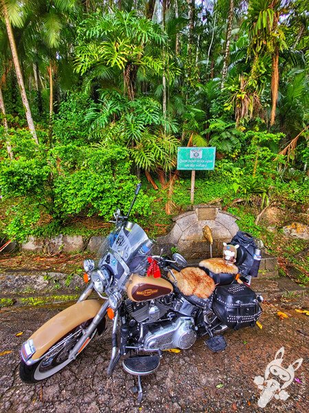 Harley-Davidson ao lado da icônica Fonte Cabeça da Anta na Serra da Cabeça da Anta (SP-079) | Tapiraí - São Paulo - Brasil | FredLee Na Estrada Harley-Davidson ao lado da icônica Fonte Cabeça da Anta na Serra da Cabeça da Anta (SP-079) | Tapiraí - São Paulo - Brasil | FredLee Na Estrada