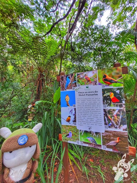 Birdwatching no Hotel Passarim | Capão Bonito - São Paulo - Brasil | FredLee Na Estrada