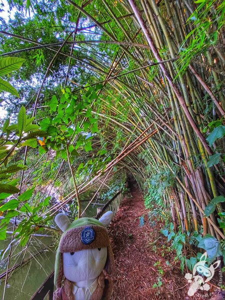 Hotel Passarim | Capão Bonito - São Paulo - Brasil | FredLee Na Estrada