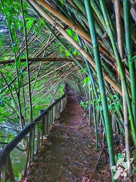 Hotel Passarim | Capão Bonito - São Paulo - Brasil | FredLee Na Estrada