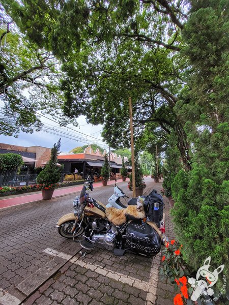 Harley-Davidson Heritage Softail Classic 2014 | Holambra - São Paulo - Brasil | FredLee Na Estrada