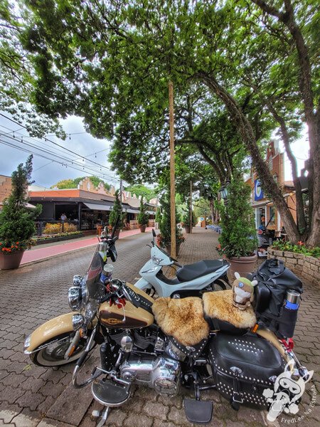 Harley-Davidson Heritage Softail Classic 2014 | Holambra - São Paulo - Brasil | FredLee Na Estrada