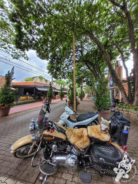 Harley-Davidson Heritage Softail Classic 2014 estacionada em uma rua arborizada e florida no centro de Holambra, São Paulo, Brasil. Foto: FredLee Na Estrada.