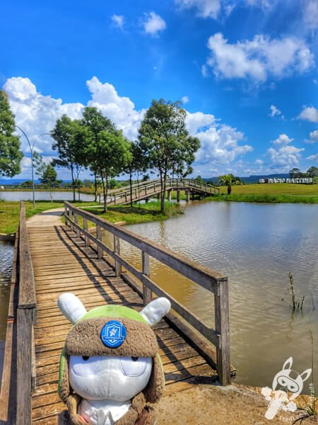 Eco Parque Terra dos Pinheirais | Inácio Martins - Paraná - Brasil | FredLee Na Estrada