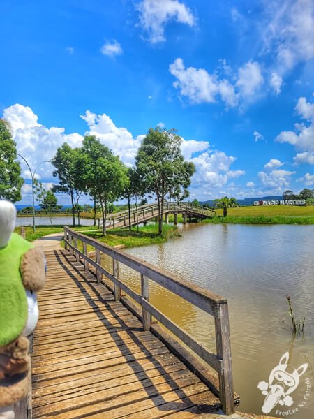 Eco Parque Terra dos Pinheirais | Inácio Martins - Paraná - Brasil | FredLee Na Estrada