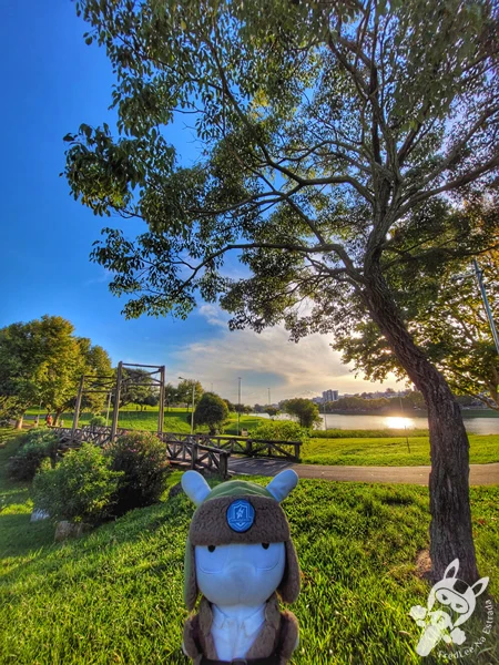 Parque do Lago, em Guarapuava, Paraná, Brasil. Foto: FredLee Na Estrada.