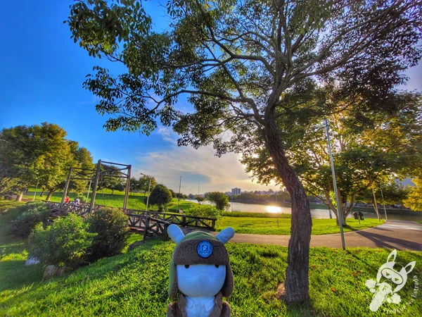 Parque do Lago, em Guarapuava, Paraná, Brasil. Foto: FredLee Na Estrada.