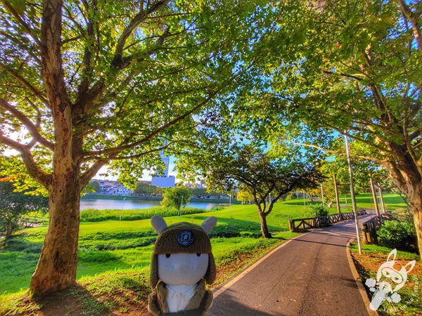 Parque do Lago, em Guarapuava, Paraná, Brasil. Foto: FredLee Na Estrada.