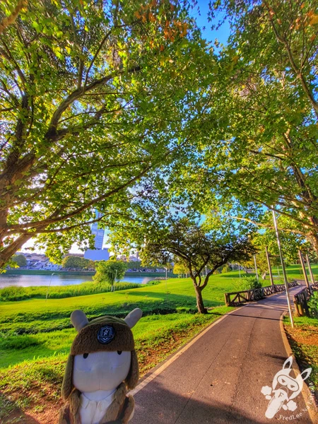 Parque do Lago, em Guarapuava, Paraná, Brasil. Foto: FredLee Na Estrada.