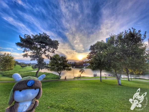 Pôr do sol no Parque do Lago, em Guarapuava, Paraná, Brasil. Foto: FredLee Na Estrada.