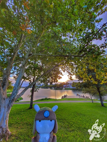 Pôr do sol no Parque do Lago, em Guarapuava, Paraná, Brasil. Foto: FredLee Na Estrada.