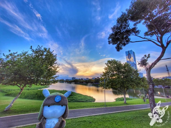 Pôr do sol no Parque do Lago, em Guarapuava, Paraná, Brasil. Foto: FredLee Na Estrada.