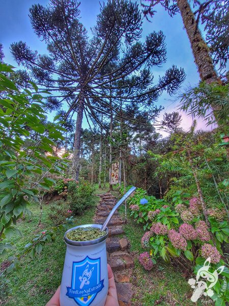 Chimarrão no Chalé Refúgio das Águas | Urupema - Santa Catarina - Brasil | FredLee Na Estrada Chimarrão no Chalé Refúgio das Águas | Urupema - Santa Catarina - Brasil | FredLee Na Estrada