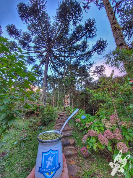 Chimarrão no Chalé Refúgio das Águas | Urupema - Santa Catarina - Brasil | FredLee Na Estrada Chimarrão no Chalé Refúgio das Águas | Urupema - Santa Catarina - Brasil | FredLee Na Estrada