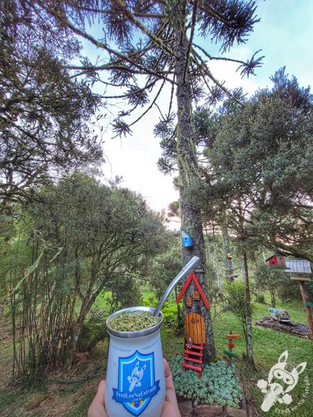 Chimarrão no Chalé Refúgio das Águas | Urupema - Santa Catarina - Brasil | FredLee Na Estrada Chimarrão no Chalé Refúgio das Águas | Urupema - Santa Catarina - Brasil | FredLee Na Estrada