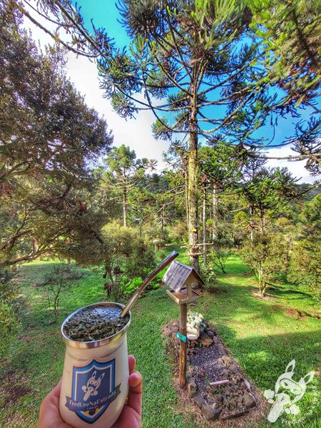 Chimarrão no Chalé Refúgio das Águas | Urupema - Santa Catarina - Brasil | FredLee Na Estrada Chimarrão no Chalé Refúgio das Águas | Urupema - Santa Catarina - Brasil | FredLee Na Estrada