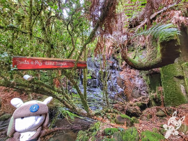 Cascata no Chalé Refúgio das Águas | Urupema - Santa Catarina - Brasil | FredLee Na Estrada Cascata no Chalé Refúgio das Águas | Urupema - Santa Catarina - Brasil | FredLee Na Estrada