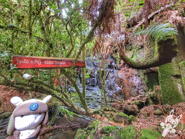 Cascata no Chalé Refúgio das Águas | Urupema - Santa Catarina - Brasil | FredLee Na Estrada Cascata no Chalé Refúgio das Águas | Urupema - Santa Catarina - Brasil | FredLee Na Estrada