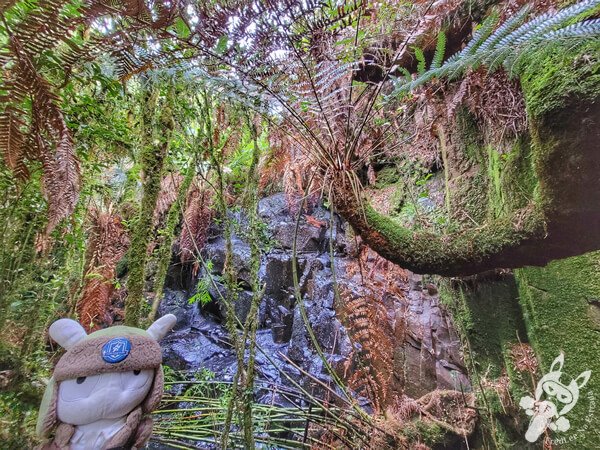 Cascata no Chalé Refúgio das Águas | Urupema - Santa Catarina - Brasil | FredLee Na Estrada Cascata no Chalé Refúgio das Águas | Urupema - Santa Catarina - Brasil | FredLee Na Estrada