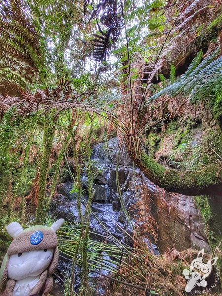 Cascata no Chalé Refúgio das Águas | Urupema - Santa Catarina - Brasil | FredLee Na Estrada Cascata no Chalé Refúgio das Águas | Urupema - Santa Catarina - Brasil | FredLee Na Estrada