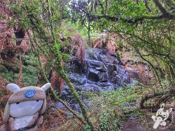 Cascata no Chalé Refúgio das Águas | Urupema - Santa Catarina - Brasil | FredLee Na Estrada Cascata no Chalé Refúgio das Águas | Urupema - Santa Catarina - Brasil | FredLee Na Estrada