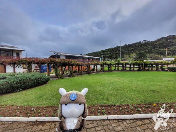 Praça Municipal Manoel Pinto de Arruda | Urupema - Santa Catarina - Brasil | FredLee Na Estrada Praça Municipal Manoel Pinto de Arruda | Urupema - Santa Catarina - Brasil | FredLee Na Estrada