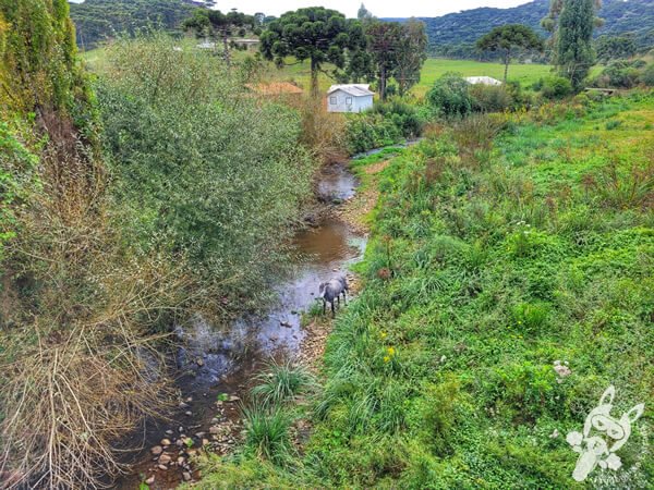 Urupema - Santa Catarina - Brasil | FredLee Na Estrada Urupema - Santa Catarina - Brasil | FredLee Na Estrada