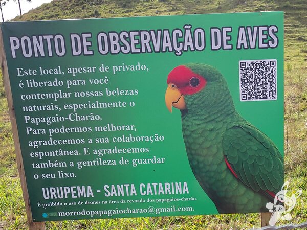 Mirante de Observação de Aves - Ponto de Observação dos Papagaios-Charão | Urupema - Santa Catarina - Brasil | FredLee Na Estrada Mirante de Observação de Aves - Ponto de Observação dos Papagaios-Charão | Urupema - Santa Catarina - Brasil | FredLee Na Estrada