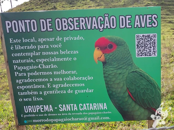 Mirante de Observação de Aves - Ponto de Observação dos Papagaios-Charão | Urupema - Santa Catarina - Brasil | FredLee Na Estrada Mirante de Observação de Aves - Ponto de Observação dos Papagaios-Charão | Urupema - Santa Catarina - Brasil | FredLee Na Estrada