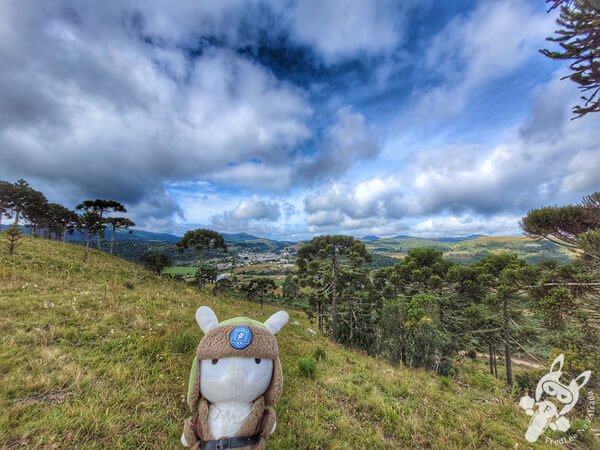 Mirante de Observação de Aves - Ponto de Observação dos Papagaios-Charão | Urupema - Santa Catarina - Brasil | FredLee Na Estrada Mirante de Observação de Aves - Ponto de Observação dos Papagaios-Charão | Urupema - Santa Catarina - Brasil | FredLee Na Estrada