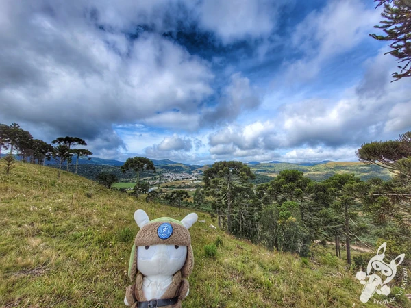 Mirante de Observação de Aves - Ponto de Observação dos Papagaios-Charão | Urupema - Santa Catarina - Brasil | FredLee Na Estrada Mirante de Observação de Aves - Ponto de Observação dos Papagaios-Charão | Urupema - Santa Catarina - Brasil | FredLee Na Estrada