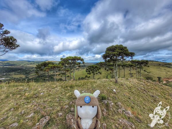 Mirante de Observação de Aves - Ponto de Observação dos Papagaios-Charão | Urupema - Santa Catarina - Brasil | FredLee Na Estrada Mirante de Observação de Aves - Ponto de Observação dos Papagaios-Charão | Urupema - Santa Catarina - Brasil | FredLee Na Estrada