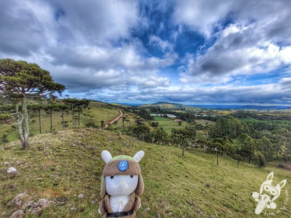 Mirante de Observação de Aves - Ponto de Observação dos Papagaios-Charão | Urupema - Santa Catarina - Brasil | FredLee Na Estrada Mirante de Observação de Aves - Ponto de Observação dos Papagaios-Charão | Urupema - Santa Catarina - Brasil | FredLee Na Estrada