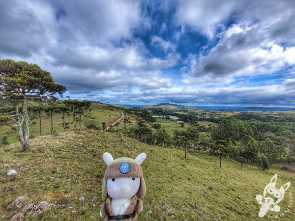 Mirante de Observação de Aves - Ponto de Observação dos Papagaios-Charão | Urupema - Santa Catarina - Brasil | FredLee Na Estrada Mirante de Observação de Aves - Ponto de Observação dos Papagaios-Charão | Urupema - Santa Catarina - Brasil | FredLee Na Estrada