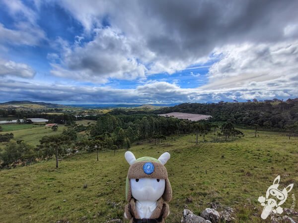 Mirante de Observação de Aves - Ponto de Observação dos Papagaios-Charão | Urupema - Santa Catarina - Brasil | FredLee Na Estrada Mirante de Observação de Aves - Ponto de Observação dos Papagaios-Charão | Urupema - Santa Catarina - Brasil | FredLee Na Estrada