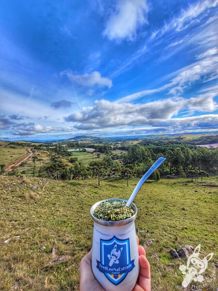 Chimarrão no Mirante de Observação de Aves - Ponto de Observação dos Papagaios-Charão | Urupema - Santa Catarina - Brasil | FredLee Na Estrada Chimarrão no Mirante de Observação de Aves - Ponto de Observação dos Papagaios-Charão | Urupema - Santa Catarina - Brasil | FredLee Na Estrada