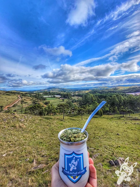 Chimarrão no Mirante de Observação de Aves - Ponto de Observação dos Papagaios-Charão | Urupema - Santa Catarina - Brasil | FredLee Na Estrada Chimarrão no Mirante de Observação de Aves - Ponto de Observação dos Papagaios-Charão | Urupema - Santa Catarina - Brasil | FredLee Na Estrada