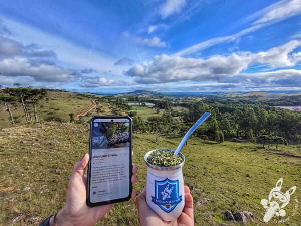 Chimarrão no Mirante de Observação de Aves - Ponto de Observação dos Papagaios-Charão | Urupema - Santa Catarina - Brasil | FredLee Na Estrada Chimarrão no Mirante de Observação de Aves - Ponto de Observação dos Papagaios-Charão | Urupema - Santa Catarina - Brasil | FredLee Na Estrada