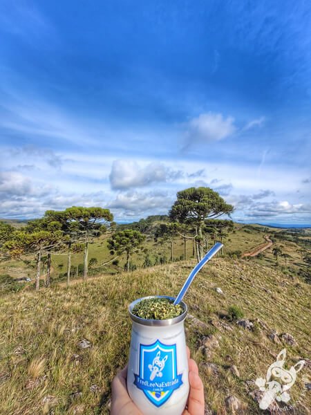 Chimarrão no Mirante de Observação de Aves - Ponto de Observação dos Papagaios-Charão | Urupema - Santa Catarina - Brasil | FredLee Na Estrada Chimarrão no Mirante de Observação de Aves - Ponto de Observação dos Papagaios-Charão | Urupema - Santa Catarina - Brasil | FredLee Na Estrada