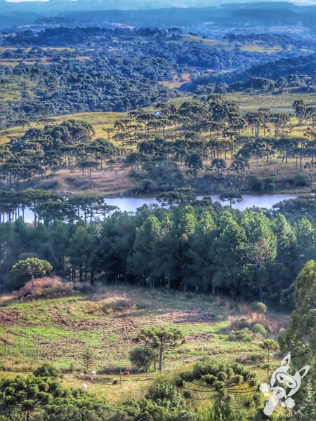 Mirante de Observação de Aves - Ponto de Observação dos Papagaios-Charão | Urupema - Santa Catarina - Brasil | FredLee Na Estrada Mirante de Observação de Aves - Ponto de Observação dos Papagaios-Charão | Urupema - Santa Catarina - Brasil | FredLee Na Estrada