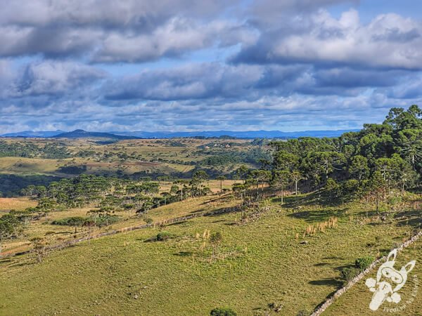 Mirante de Observação de Aves - Ponto de Observação dos Papagaios-Charão | Urupema - Santa Catarina - Brasil | FredLee Na Estrada Mirante de Observação de Aves - Ponto de Observação dos Papagaios-Charão | Urupema - Santa Catarina - Brasil | FredLee Na Estrada